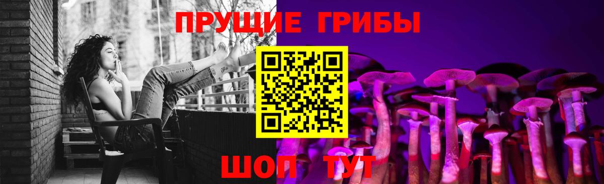 Клин  Псилоцибиновые грибы прущие грибы  Вход с VPN 